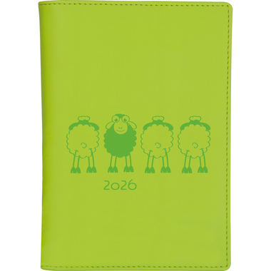 BIELLA Planer Istanbul 2026 855715310026U 1M/2S hellgrün ML 10.6x15.3cm