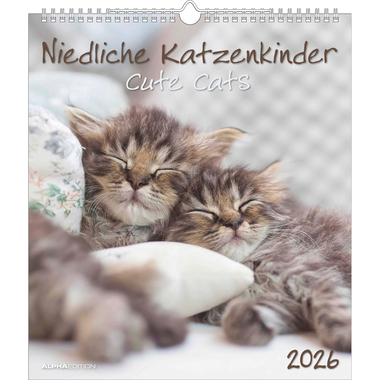 ALPHA EDITION Calendrier 2026 160575 Chatons ML 30x34cm
