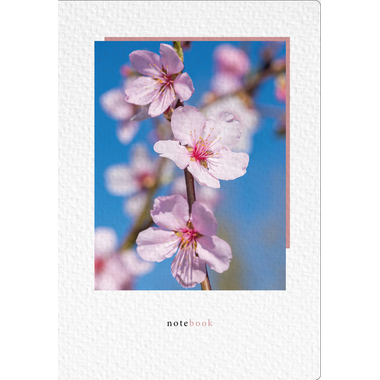 NATUR VERLAG Taccuino crushpaper A5 11018N mandorla foto, puntinato