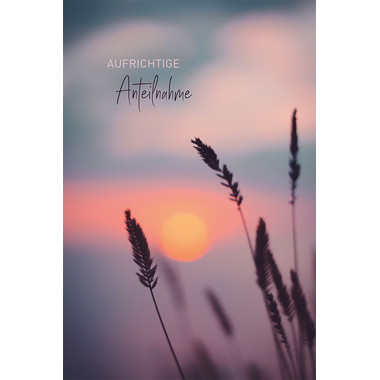 ABC Carte condoléances B6 51967 Roseaux