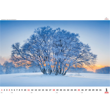 CALENDARIA Calendrier 2026 9783036205250 Impressionen ML 48x33cm