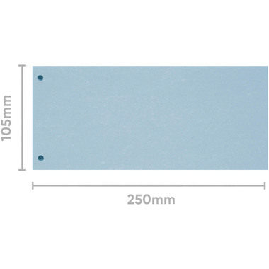BIELLA Divisori cartone 2 fori 19919005U blu, 24x10.5cm 100 pezzi
