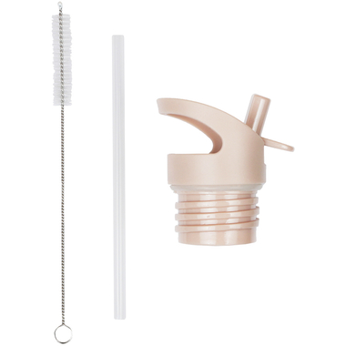 ALLC Set pour gourde DBSSRE61 Couvercle, paille, brosse