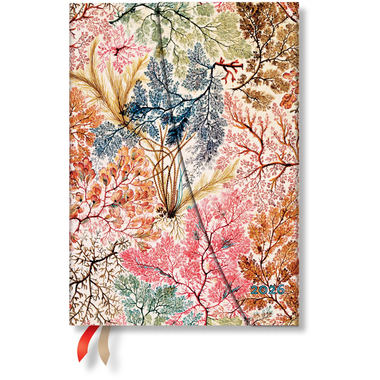 PAPERBLANKS Agenda Anemone 2026 DD0610-8 1W/1S VSO Midi HC DE 13x18cm