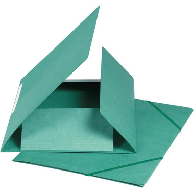 BIELLA Dossier ferm. Élastique A4 17840030U vert, 590gm2 220 flls.