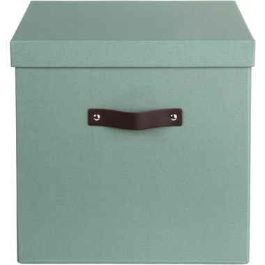 BIGSO BOX OF SWEDEN Aufbewahrungsbox Logan 9901C1649L01 mintgrün 31.5x31x31.5cm
