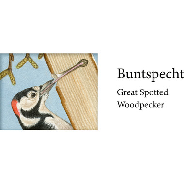 COPPENRATH Calendrier de l'avent sonore 95250 Nos oiseaux en hiver