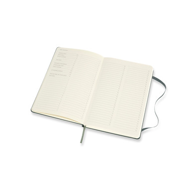 MOLESKINE Carnet PRO A4 647620763 vert, ligné 240 feuil.