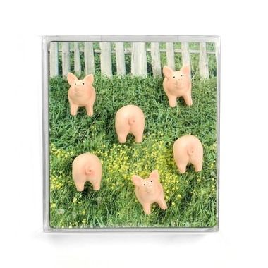 TRENDFORM Calamite PIGGY FA4593 6 pezzi ass.