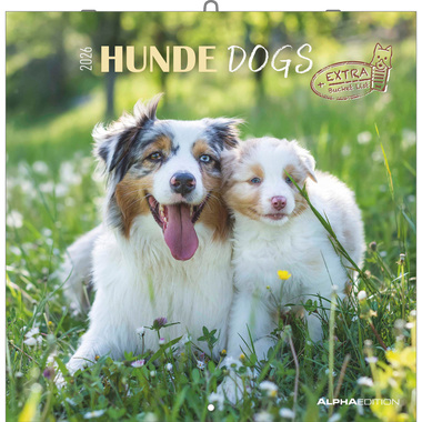 ALPHA EDITION Calendario 2026 160302 Cani ML 30x30cm