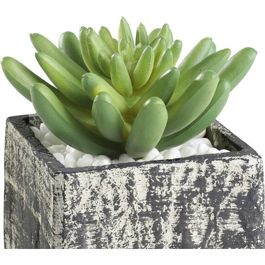 EGLO Pianta artificiale 12cm 428007 verde, in vaso