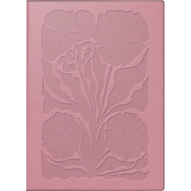 SIMPLEX Ladytimer Linea 2027 40553.27 1S/2P Rosie rosa ML 10x14cm