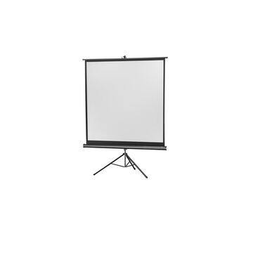 Celexon Tripod Screen Eco 244x244cm 1:1