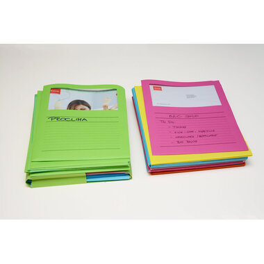 ELCO Organisationsmappe Ordo A4 29488.00 classico, assortiert 100 Stück