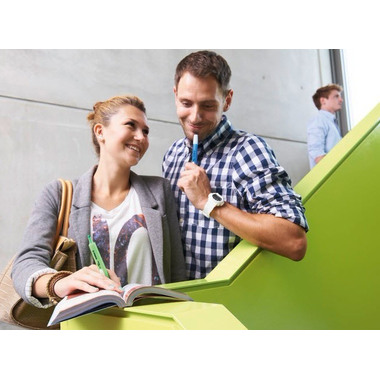 STABILO Swing Cool Leuchtmarker 275/33 grün