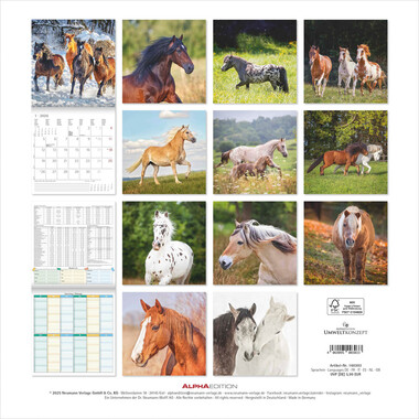 ALPHA EDITION Bildkalender 2026 160303 Pferde ML 30x30cm