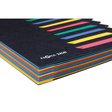 PAGNA Deskorganizer A4 24141-04 noir