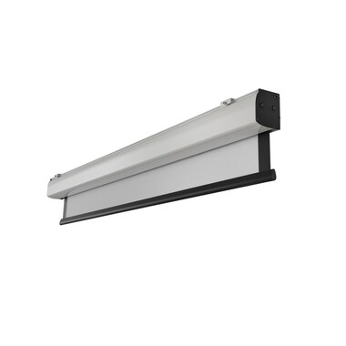 Celexon Motorleinwand Expert XL 300x300 cm 1:1