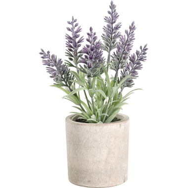 EGLO Kunstpflanze 22cm 428031 grün, im Topf