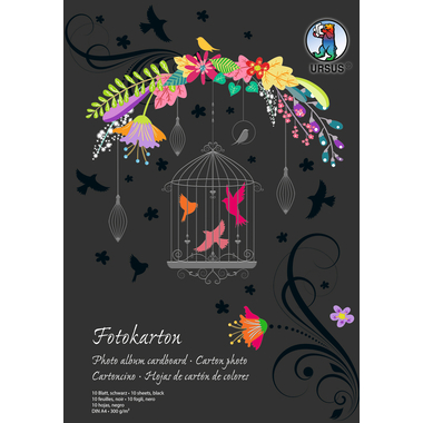 URSUS Carton photo bloc A4 3704690SE 300g, noir 10 flls.