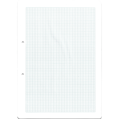 NEUTRAL Inserto per classificatore A4 TESSIN quadr., 4mm, 90g 100 fogli