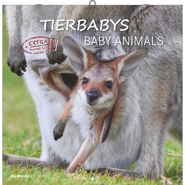 ALPHA EDITION Calendario 2026 160341 Tierbabys ML 30x30cm