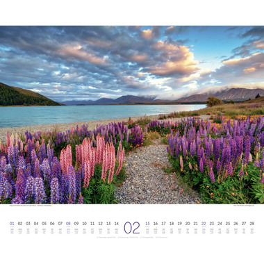 ACKERMANN Calendrier 2026 2634 Wege ML 54x48cm