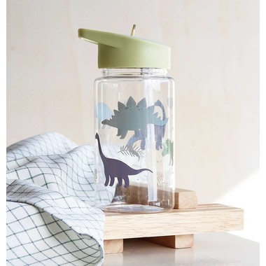ALLC Gourde 450ml DBDIGR33 Dinosaurs