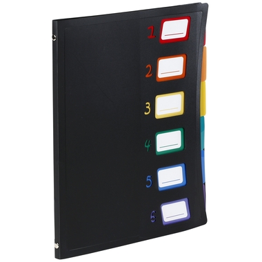 VIQUEL Organisationsmappe A4 493067 A4 1-6 schwarz/bunt