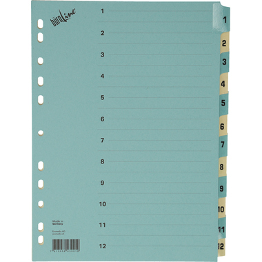 BÜROLINE Registro cartone A4 40550 blu/beige 1-12