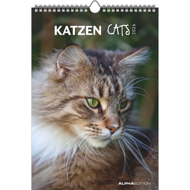 ALPHA EDITION Calendrier 2026 160493 Chats ML 23.7x34cm