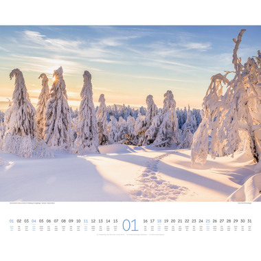 ACKERMANN Calendrier 2026 2634 Wege ML 54x48cm