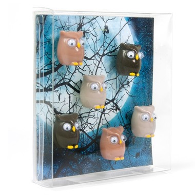 TRENDFORM Aimants OWL FW3542 set de 6 assorti