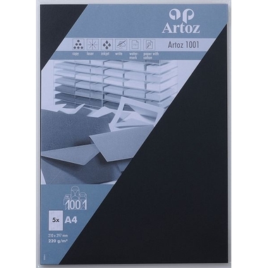 ARTOZ Cartes 1001 A4 107696142 220g, noir 5 feuilles