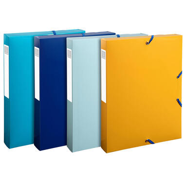 EXACOMPTA Box collezione con elsti A4 59140E ordinata PP