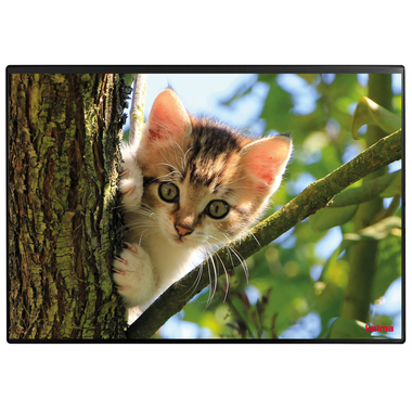 KOLMA Schreibunterlage 35.554.20 Katzenkinder 50x34cm