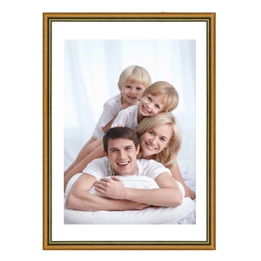 DEBEX Wechselrahmen 24x30cm 600403-240X3 Holz gold