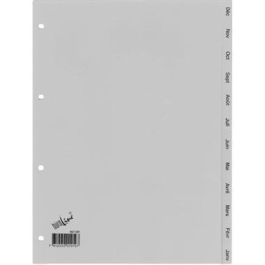 BÜROLINE Register PP A4 667281 grau Déc-Jan FR