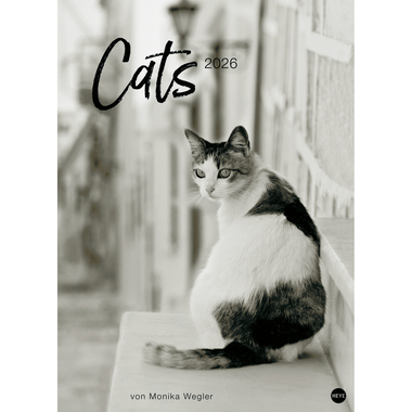 HEYE Bildkalender 2026 22848+26 Wegler Cats Edition DE 49x68cn