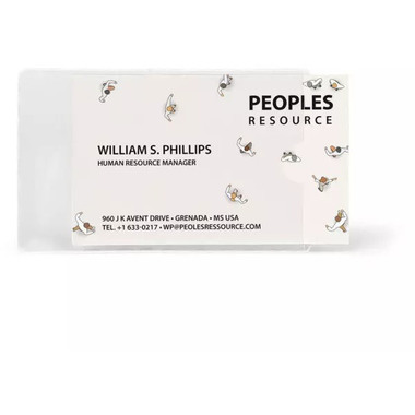 3L Porte-cartes de visite 60x95mm 10109 PP autocollante 100 pièces