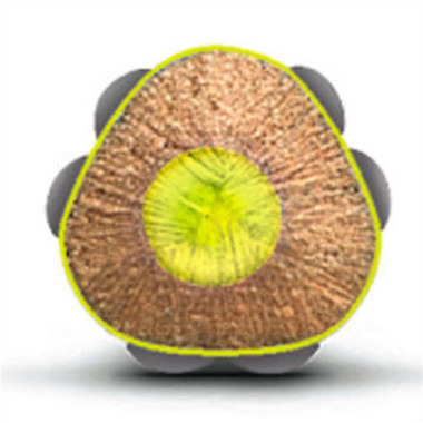 FABER-CASTELL Textliner Jumbo Grip 5mm 114807 jaune