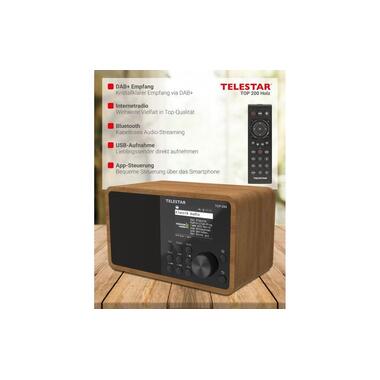 Telestar Radio Internet TOP 200 Brun