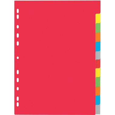 PAGNA Kartonregister A4 31121-20 intensiv 12-teilig