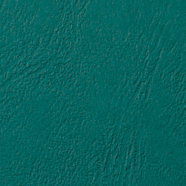 GBC Coperta rilegafogli A4 CE040045 verde, 250g 100 pezzi