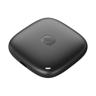 Synology SSD esterno BeeDrive 1024 GB