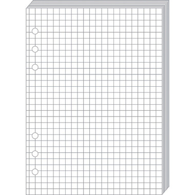 QUO-VADIS Timer21 Planing Notes 722001Q quadrillé 15x21cm