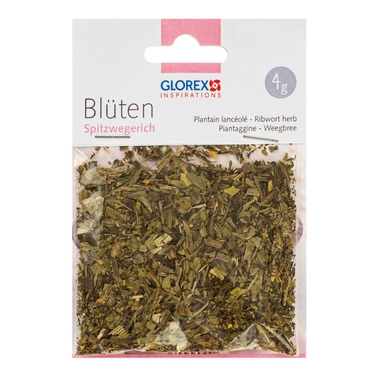 GLOREX Spitzwegerich 4g 61601106 grün