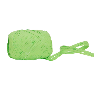 SPYK Band Poly 0649.1080 10mmx20m verde