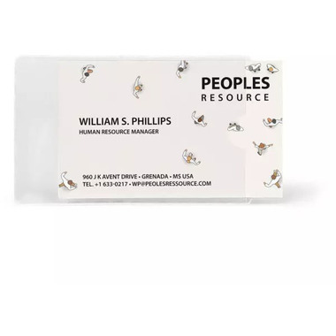 3L Porte-cartes de visite 60x95mm 510109 PP, autocollante 100 pièces