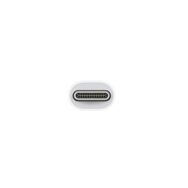 Apple Thunderbolt USB-C Stecker - Thunderbolt